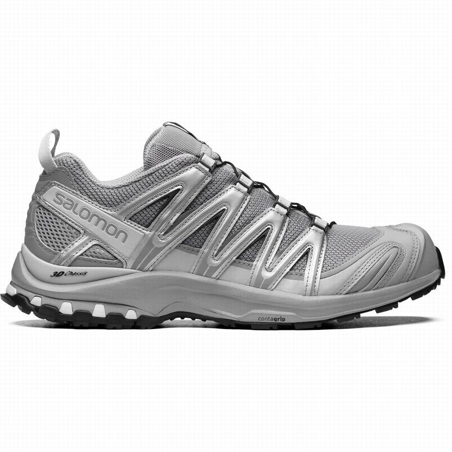 Salomon Xa Pro 3d Erkek Patika Koşu Ayakkabısı Gümüş [DTN443GN]